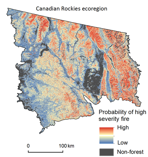 Figure 2: map depicts the probability of high-severity fire, were a fire to occur, for the Canadian Rockies ecoregion