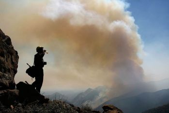 firefighter on a hillside observing smoke plume in the background