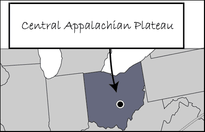 Fire and Fire Surrogates Study Central Appalachian Plateau (Ohio Hills) Site Map thumbnail