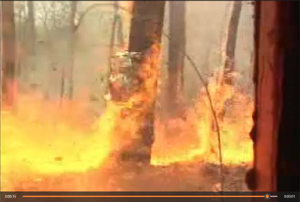 FFS Central Appalachian Plateau Prescribed Fire Video thumbnail