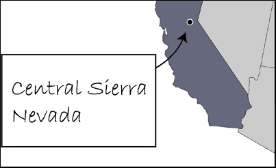 Fire and Fire Surrogates Study Central Sierra Nevada (Blodgett) Site Map thumbnail