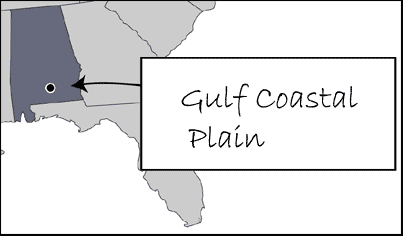 Fire and Fire Surrogates Study Gulf Coastal Plain (Solon Dixon, AL) Site Map thumbnail