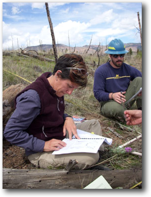 Beth Newingham and Jon Bontrager identifying plants at the Hayman fire. 