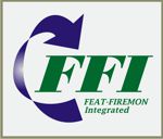 FFI logo
