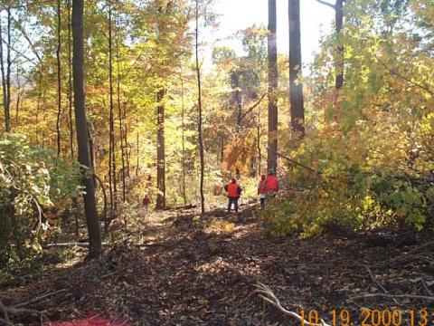 Tar Hollow State Forest thin/burn treatment area, harvested September-October 2000 (thinning treatment underway).