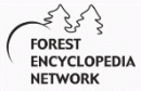 Forest Encyclopedia logo