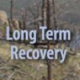 Long Term Recovery